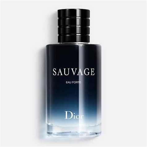 Sauvage Eau Forte Dior (2024): Jornada Olfativa Aquática 